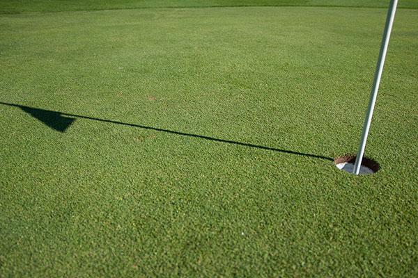 Putting green with flag in hole.
