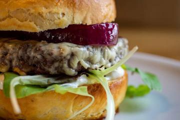 Cheeseburger with lettuce and red onion on a plate.